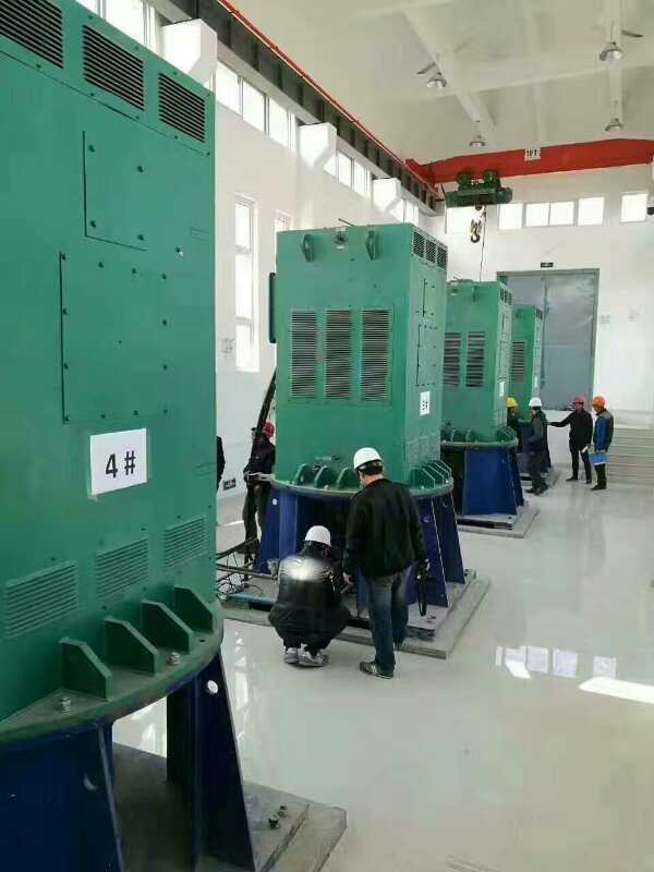 达坂城某污水处理厂使用我厂的立式高压电机安装现场