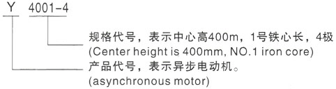 西安泰富西玛Y系列(H355-1000)高压达坂城三相异步电机型号说明